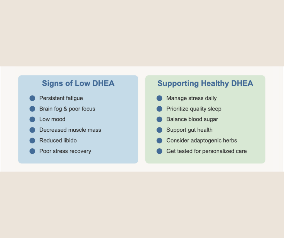 Infographic listing signs of low DHEA—fatigue, brain fog, low mood, decreased muscle mass, reduced libido, poor stress recovery—and tips to support healthy DHEA such as managing stress, quality sleep, and herbs.